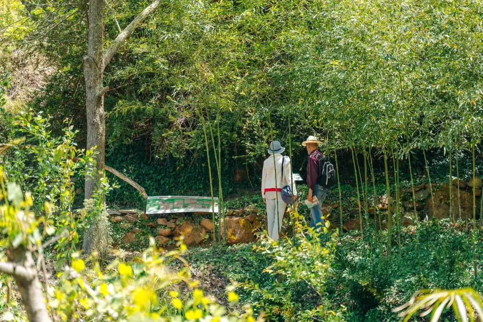Botanical Park & Gardens Of Crete
